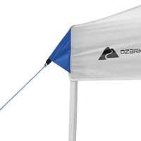 Ozark Trail 10 FT x 10 FT Straight Leg Instant Canopy, 100 SQ FT, GRAY, 10 x 10 Canopy