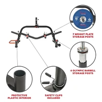 Sunny Health & Fitness Multi-Weight Plate and Barbell Rack Storage Stand SF-XF9938