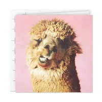 Hallmark Studio Ink Birthday Card
