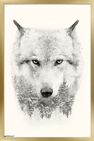 Loup