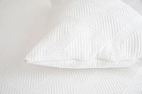 Earthy Comfort Eucalyptus Pillow Protector - Standard