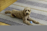 Tapis d'extérieur lavable Delray ivoire & bleu 7 pi x 9 pi