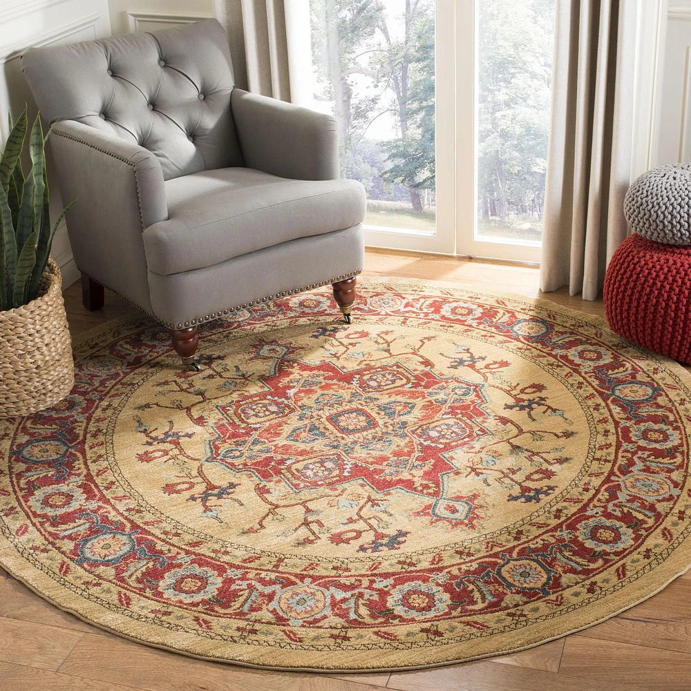 Safavieh Mahal Oswin Floral Bordered Area Rug
