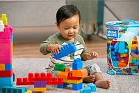 Mega Bloks First Builders Big Building Bag (80 Pieces