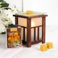 ScentSationals, Cubes de cire parfumés, Cempasuchil