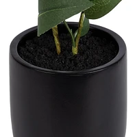 Faux Olivier Zarina Dans Un Pot Noir de hometrends 45,7 cm h x 11,4 cm d
