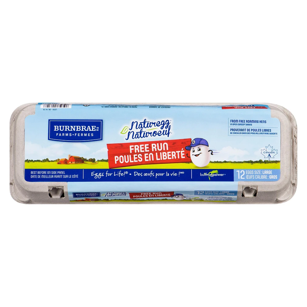 Naturegg Large Free Run Eggs, 12 eggs/carton