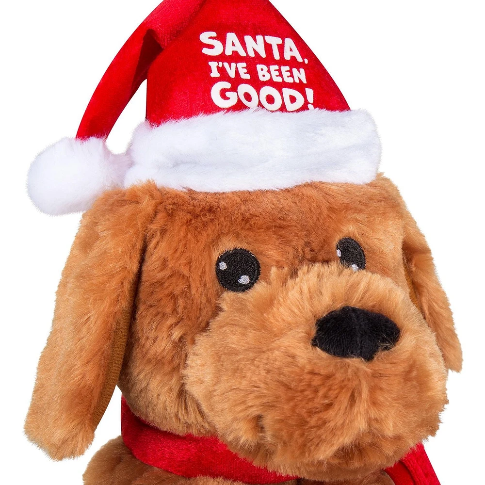 Begging Christmas Labradoodle
