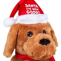 Begging Christmas Labradoodle