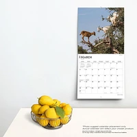 BrownTrout Chèvres dans les Arbres 2024 Mur Carré 30.48x60.96 CM, 9781975462888