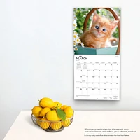 I Love Kittens | 2023 12x24 Inch Square Wall Calendar