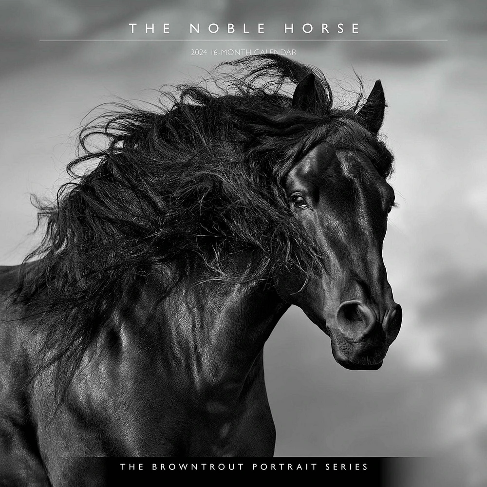 BrownTrout The BrownTrout Portrait Series: The Noble Horse 2024 12x24 Inch Square Wall Calendar, 9781975463120
