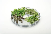 Salton Déshydrateur Pour Aliments DH1454 5 Plateaux Escamotables