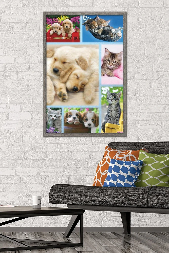 Keith Kimberlin - Puppies and Kittens Collage Wall Poster, 22.375" x 34"