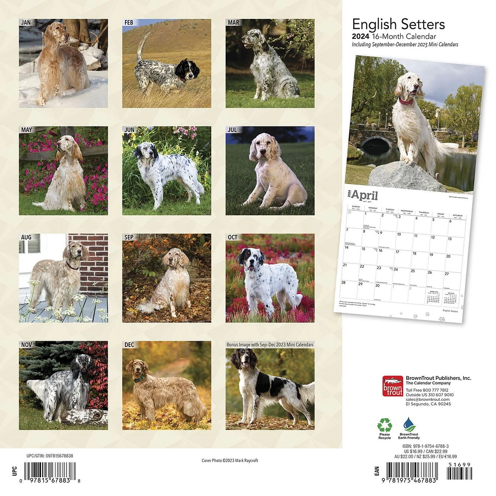 BrownTrout Chiens d'arrêt anglais 2024 Mur Carré 30.48x60.96 CM, 9781975467883