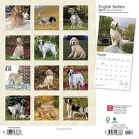 BrownTrout Chiens d'arrêt anglais 2024 Mur Carré 30.48x60.96 CM, 9781975467883