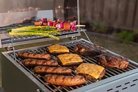 Expert Grill 2 Burner Tabletop Propane Gas Grill in Stainless Steel