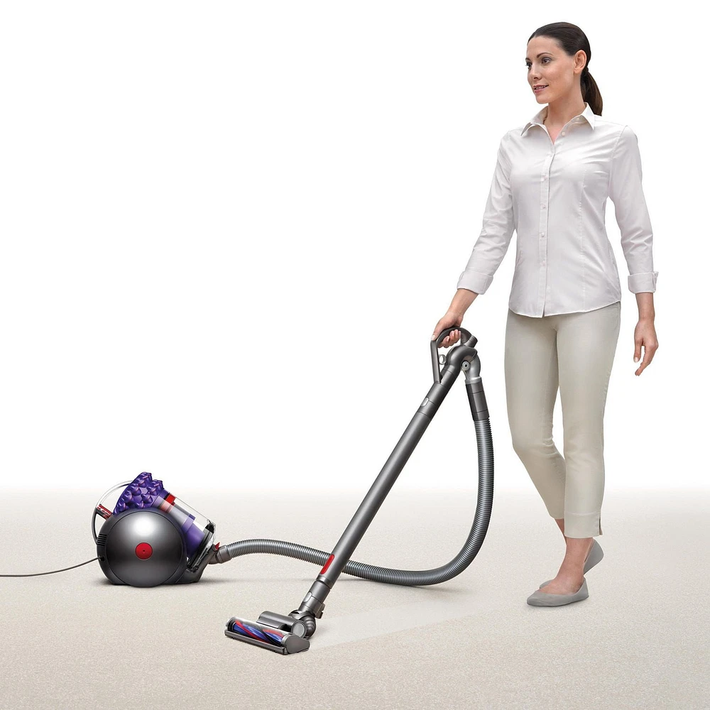 Dyson Cinetic Big Ball Animal Pro