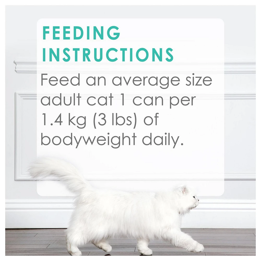 Fancy Feast Medleys Florentine Collection Variety Pack, Wet Cat Food 12 x 85 g, 12 x 85 g