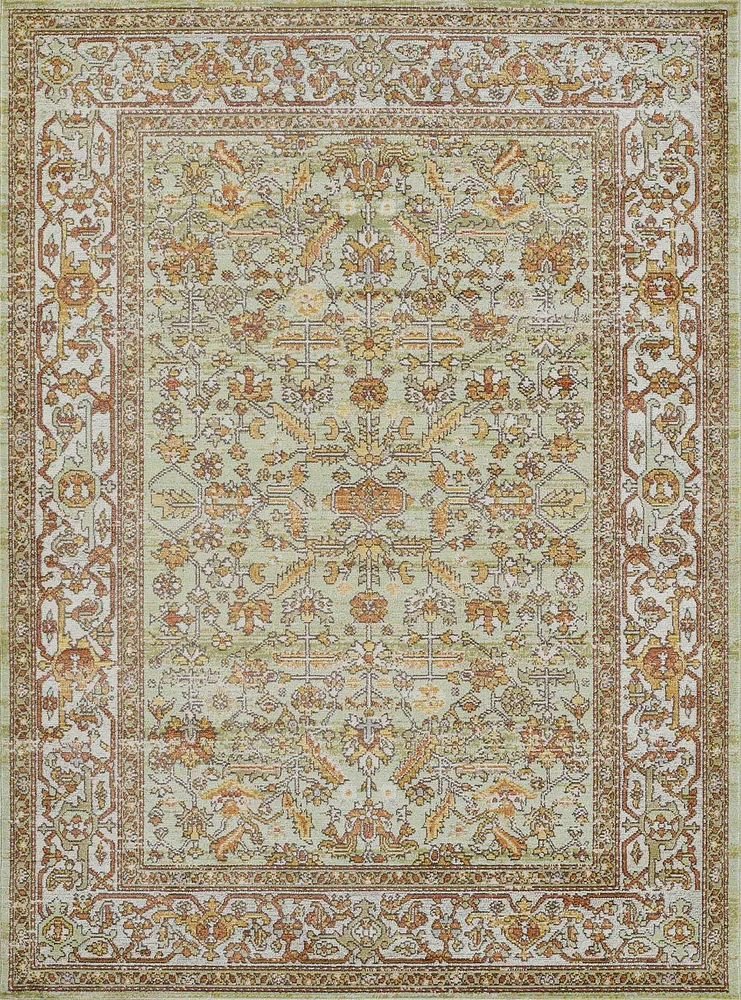 ECARPET Hailey 6'7" x 9'6" Traditional Area Rug for Living Room, Bedroom, Dining Room, Entrance, Hallway and More.