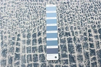 Tapis ECARPET Talia Bleu