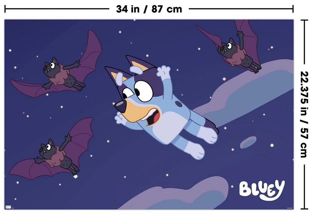 Bluey - Chauves-souris