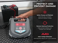 Schumacher Electric SC1280 15-Amp Rapid Charger for Automotive and Marine Batteries