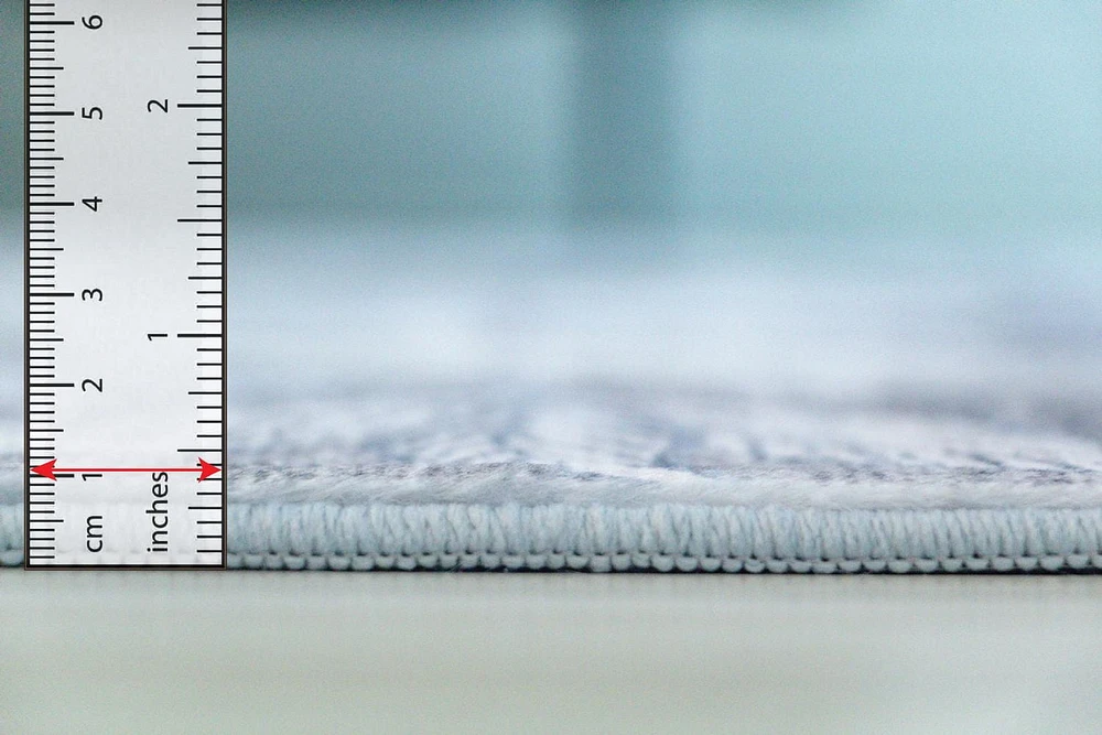 Tapis d'intérieur floral moderne Rug Branch