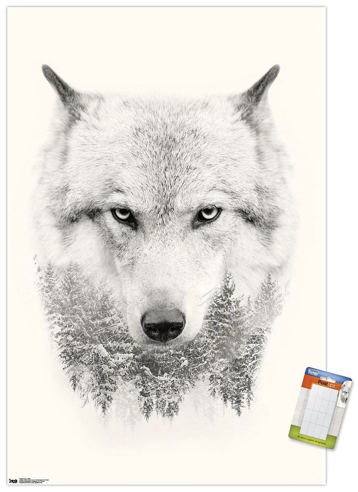 Loup