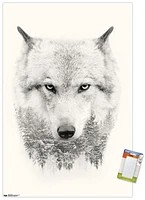 Loup