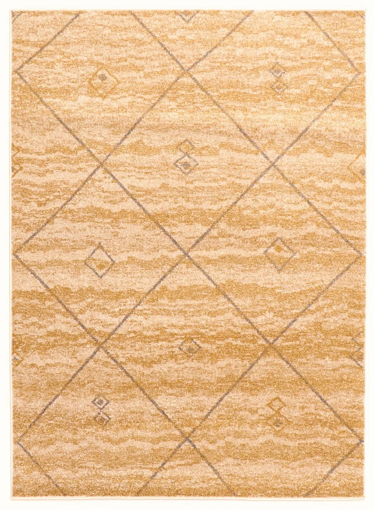 ECARPET Abstract Geometric Area Rug, Modern Indoor Carpet Devos Collection