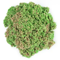 Kinetic Sand, Seashell Container with 4.5oz Neon Green and Kinetic Beach Sand, for Kids Aged 3 and Up