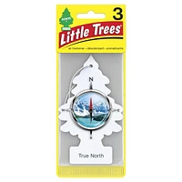 Assainisseur d'air LITTLE TREES True North 3-Pack LT True North, paquet de 3