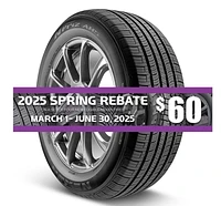 NEXEN N'Priz AH5 P185/60R14 82H Tire