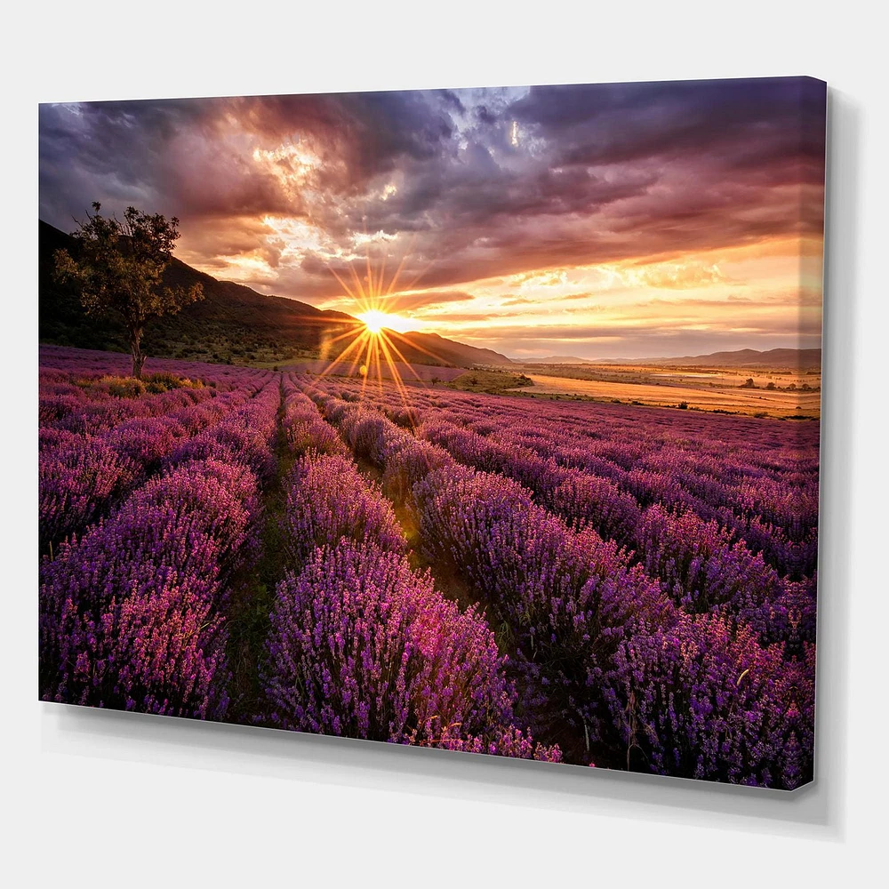 Designart Lever du soleil et nuages ​​dramatiques sur le champ de lavande IV Art mural sur toile