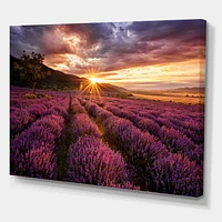 Designart Lever du soleil et nuages ​​dramatiques sur le champ de lavande IV Art mural sur toile