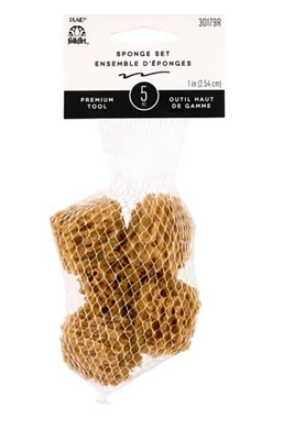 Accessoires de peinture FolkArt – Éponges format économique 5 paquets d'éponges de mer