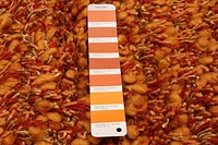 ECARPETGALLERY Sienna Orange Rug 5'0" x 8'0"