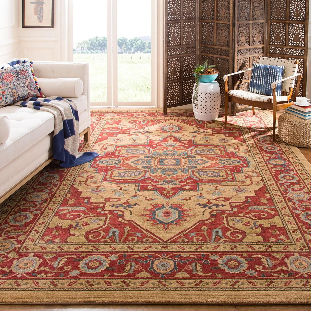 Safavieh Mahal Oswin Floral Bordered Area Rug