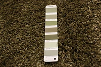 ECARPET Lotus Mod Olive Shag 4'0" x 5'7"