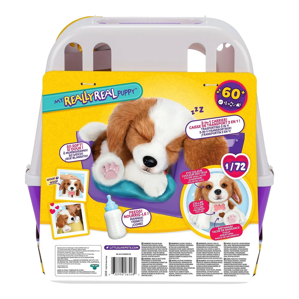 Petits animaux vivants Mon vrai chiot - Patches le Beagle 1 transporteur inclus