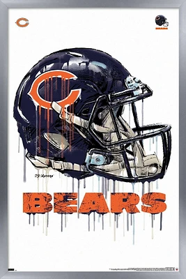 NFL Chicago Bears