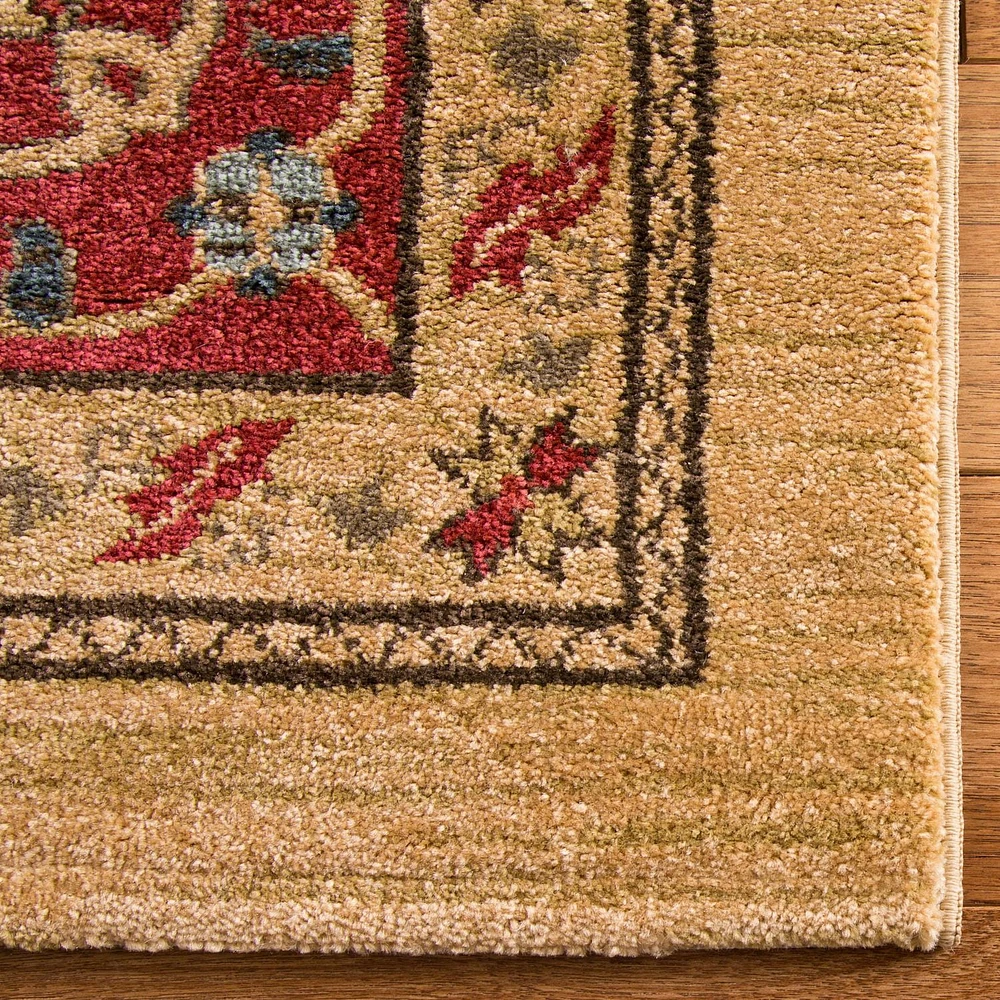 Safavieh Mahal Oswin Floral Bordered Area Rug