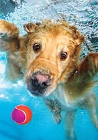 Buffalo Games - Le puzzle Underwater Dogs - Fetch!- en 500 pièces