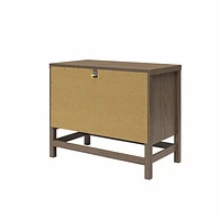 Ameriwood Home Lennon 2 Drawer Nightstand, Medium Brown and Faux Rattan