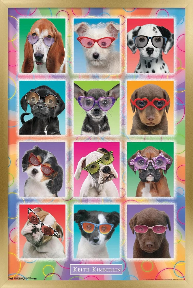 Keith Kimberlin - Chiots - Lunettes de soleil
