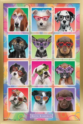 Keith Kimberlin - Chiots - Lunettes de soleil