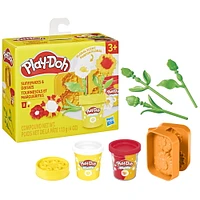 Play-Doh Sunflowers & Daisies Arts & Crafts Kit