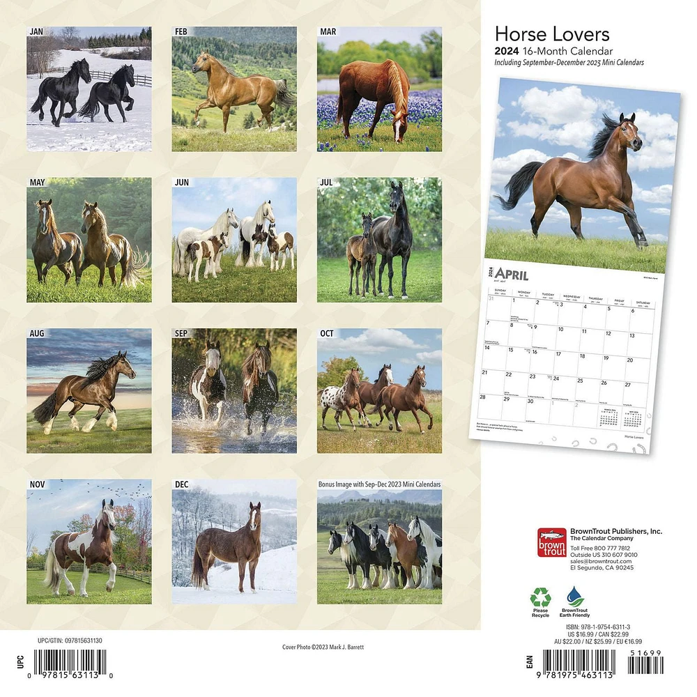 BrownTrout Horse Lovers 2024 12x24 Inch Square Wall Calendar, 9781975463113