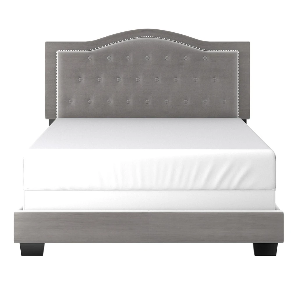 Modern Velvet Upholstered 60" Queen Bed in Light Grey